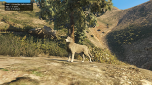 Peyote Plants Animals GTAVe Husky.png