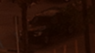 게임의 홍보 웹사이트에 있는 앰브로시아 엽서에 등장하는 알류샨.