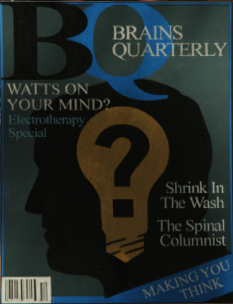 파일:BrainsQuarterly-GTAVe-DrFriedlandersOffice.png