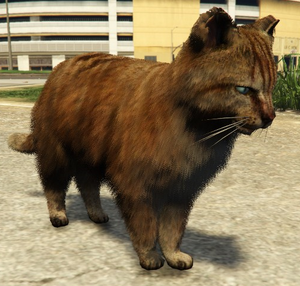 Cat-GTAV.png