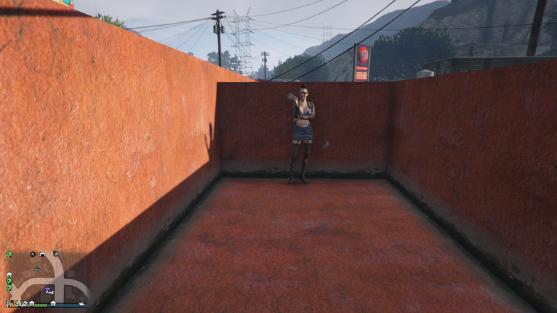 파일:StreetDealer-GTAOe-Location20-MirrorPark.png