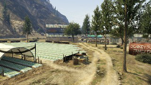 AgainsttheGrain-GTAO-JobImage.png