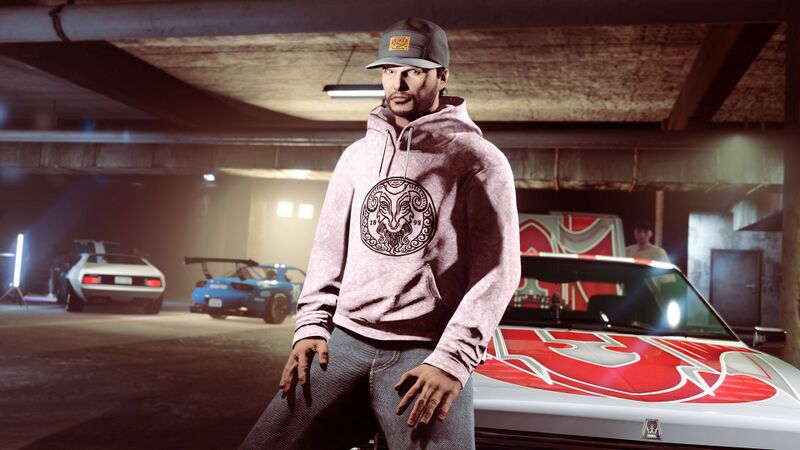 파일:CareerProgress-GTAOee-SantoCapraMeetHoodie.jpg