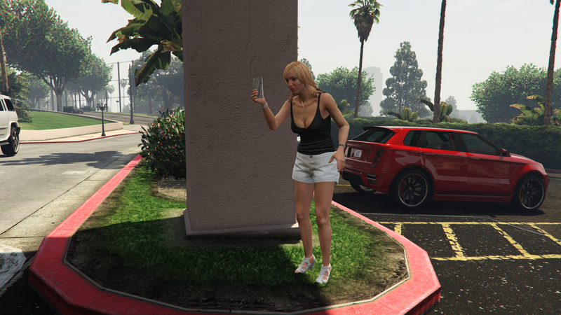 파일:KerryMcIntosh-GTAO-Snapmatic.png