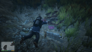 MerleAbrahams-GTAV-NorthPoint-Corpses-CenterWest.png