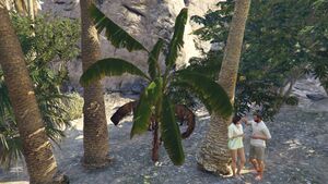 BananaTree-GTAO-Small.jpg