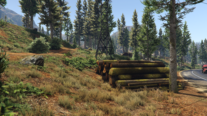 파일:PaletoForestLumberYard-GTAVe-SS2.png