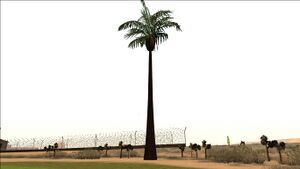 PalmTree-GTASA-SS1.jpg