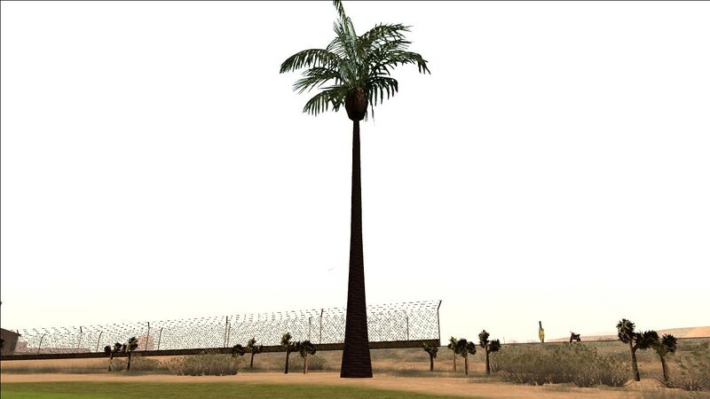 파일:PalmTree-GTASA-SS1.jpg