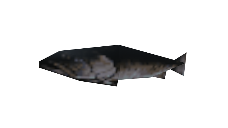파일:Beta-GTALCS-Props-Fish01.png