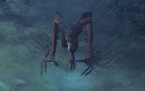 CrowFront.jpg