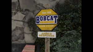 Bobcat 2.jpg