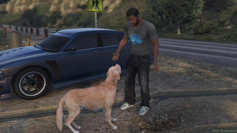 파일:RiskAssessment-GTAV-FirstCutscene.png