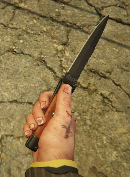 파일:Switchblade-GTAO-GoonFirstPersonHolding.jpg