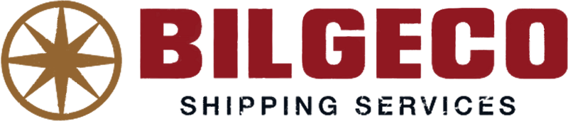 파일:Bilgeco-GTAV-Logo.png