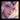 Lux