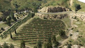 Marlowe-aerial1.jpg