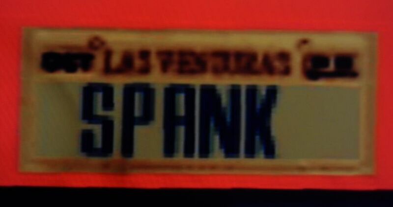 파일:CustomLicense-GTASA-Spank.jpg