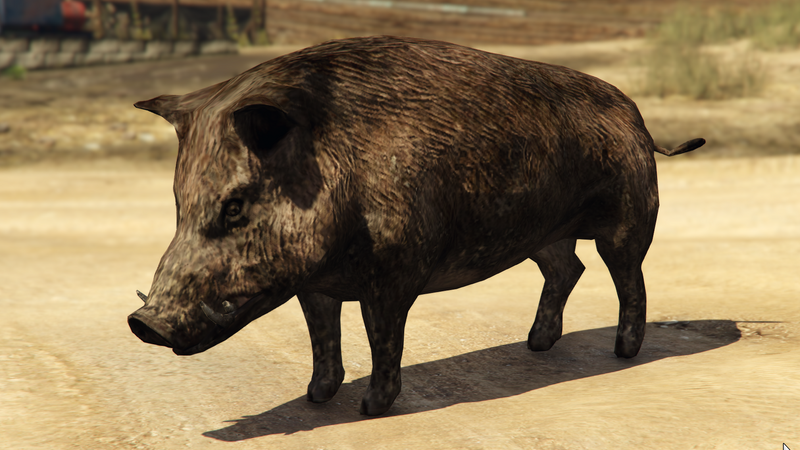 파일:Boar-GTAVe-Var3.png