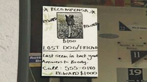 LostPets-Dog.jpg