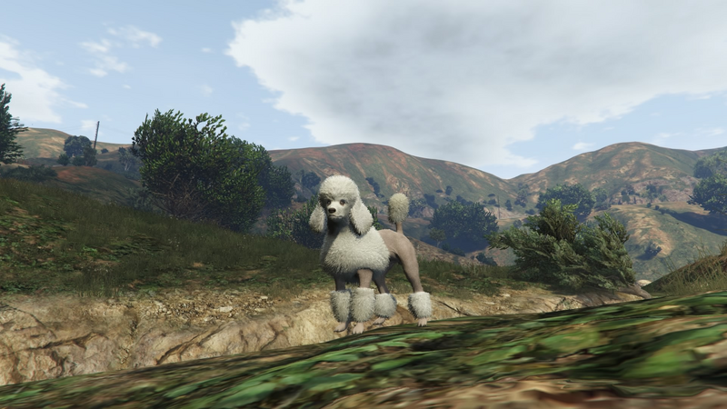 파일:Peyote Plants Animals GTAVe Poodle.png