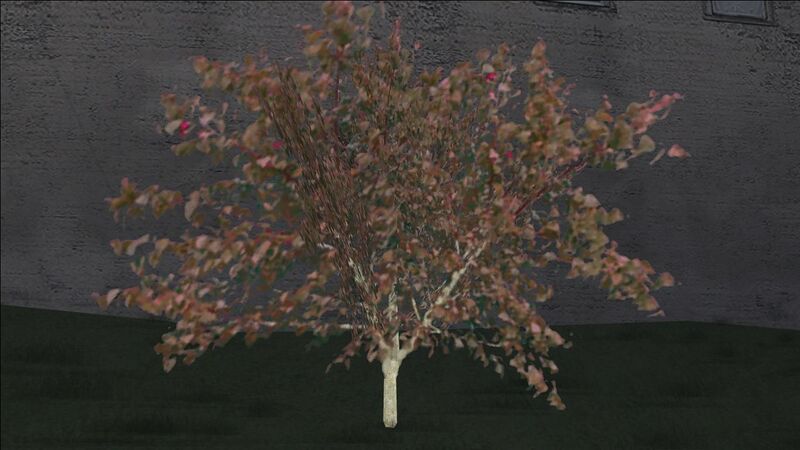 파일:RedElmTree-GTASA-SS2.jpg