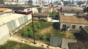 TorchTheWeedFarms-GTAOee-Rancho3.jpg