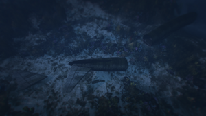 Wrecks-GTAO-CayoPerico-Airliner.png