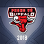 Phong Vũ Buffalo 2018