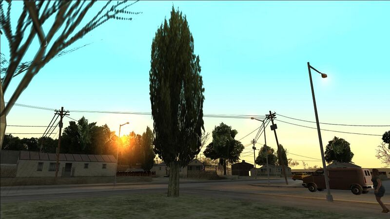 파일:CypressTree-GTASA-SS1.jpg
