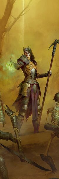 파일:D4 Necromancer-launch.jpg