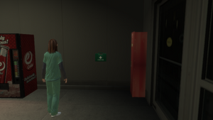 Items&Weapons-GTAIV-Health-Algonquin-14.png
