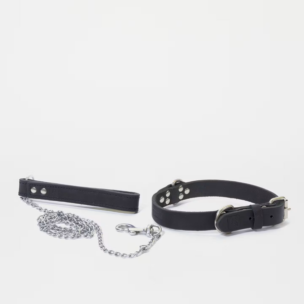 파일:Merchandise-GTAV-ChopCollarAndLeash.png