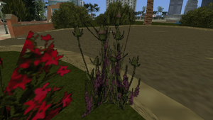 Flora-GTAVC-PurpleFlowers.png