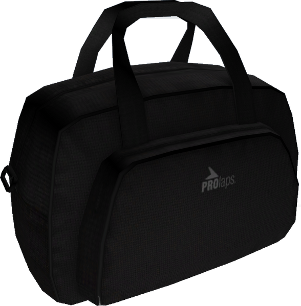 파일:ProLaps-GTAV-HandBagModel.png