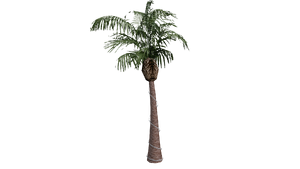 Beta-GTASA-Props-LasVenturasNightTreeG02.png