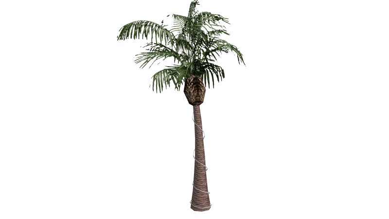 파일:Beta-GTASA-Props-LasVenturasNightTreeG02.png