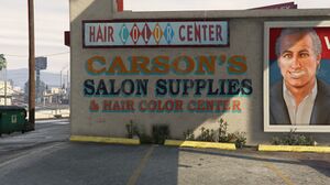 CarsonsSalonSupplies-GTAV-Side.jpg