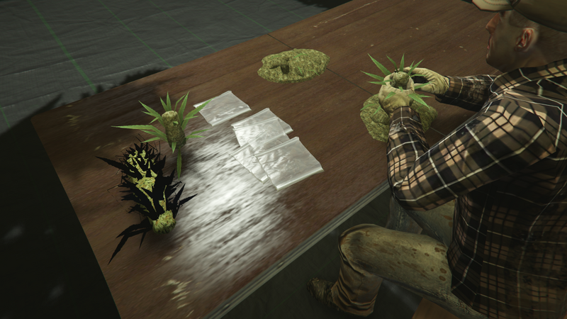 파일:Weed-GTAOe-Processing.png